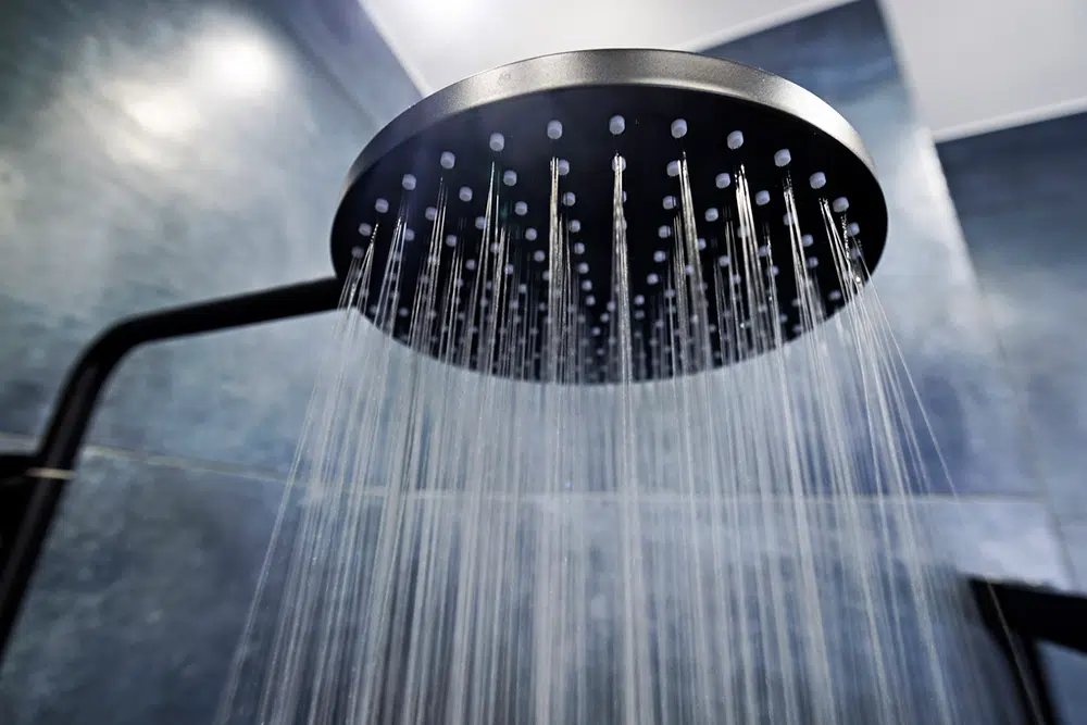 Showerhead in Houston, TX.